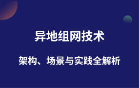 異地組網(wǎng)技術(shù)架構(gòu)、場景與實(shí)踐全解析